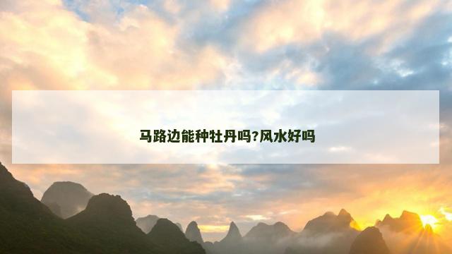 马路边能种牡丹吗?风水好吗