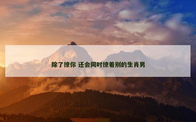 除了撩你 还会同时撩着别的生肖男
