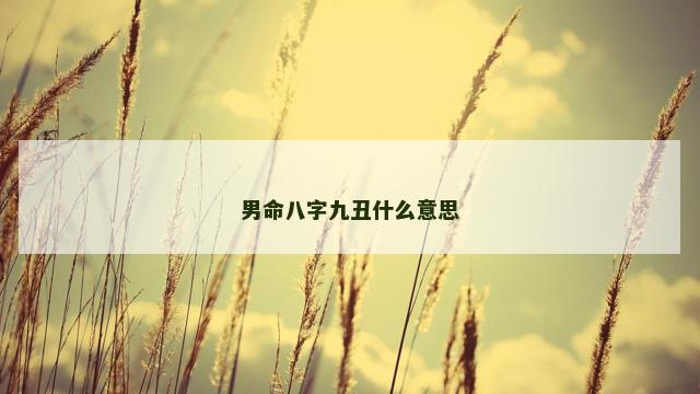 男命八字九丑什么意思