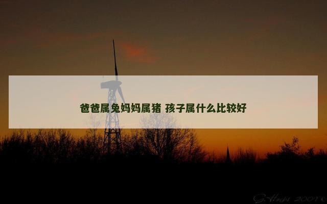 爸爸属兔妈妈属猪 孩子属什么比较好
