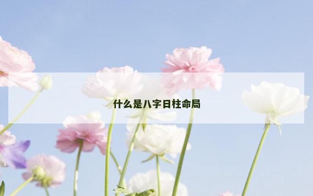什么是八字日柱命局