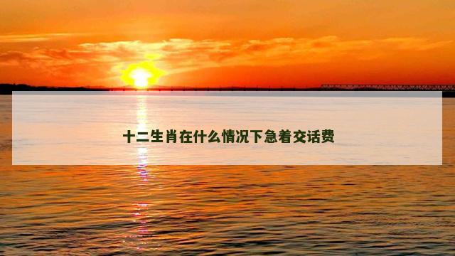 十二生肖在什么情况下急着交话费