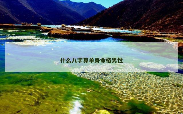 什么八字算单身命格男性