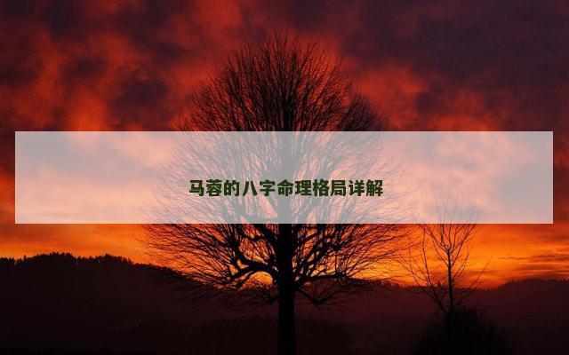 马蓉的八字命理格局详解