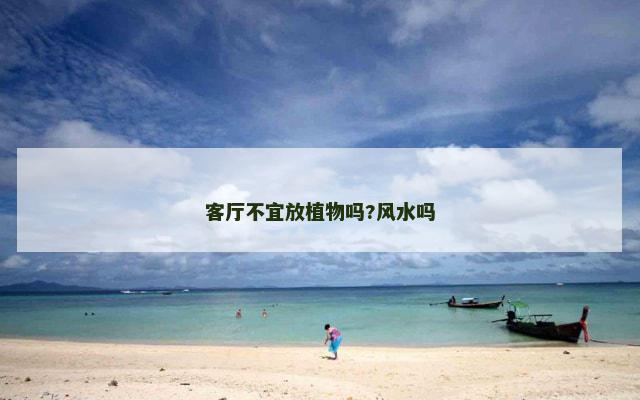 客厅不宜放植物吗?风水吗
