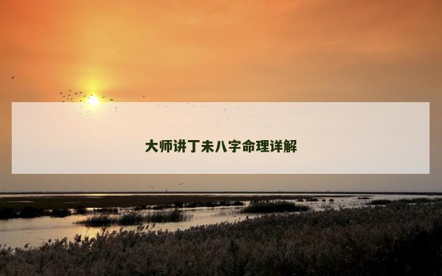 大师讲丁未八字命理详解