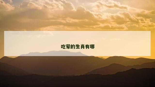 吃荤的生肖有哪