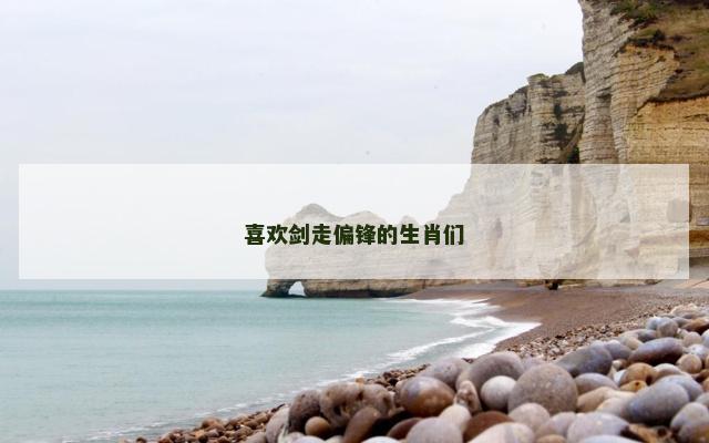 喜欢剑走偏锋的生肖们
