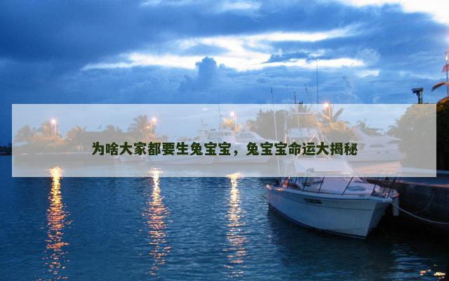 为啥大家都要生兔宝宝，兔宝宝命运大揭秘