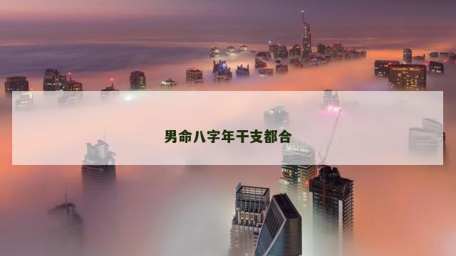 男命八字年干支都合