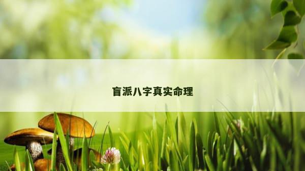 盲派八字真实命理