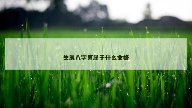 生辰八字算属于什么命格