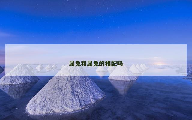 属兔和属兔的相配吗