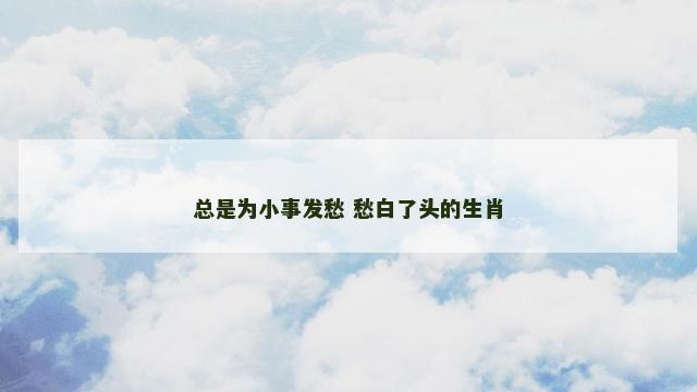 总是为小事发愁 愁白了头的生肖