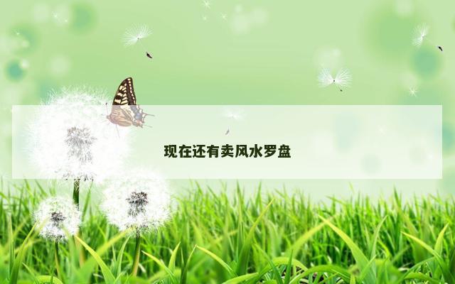 现在还有卖风水罗盘