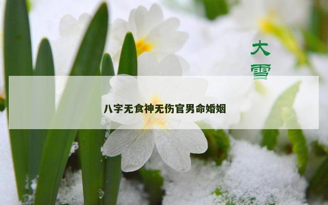 八字无食神无伤官男命婚姻