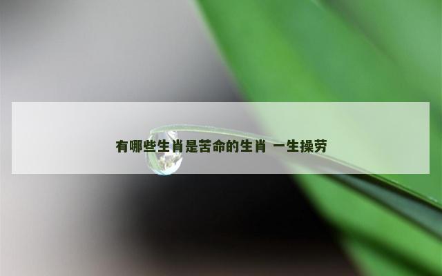 有哪些生肖是苦命的生肖 一生操劳