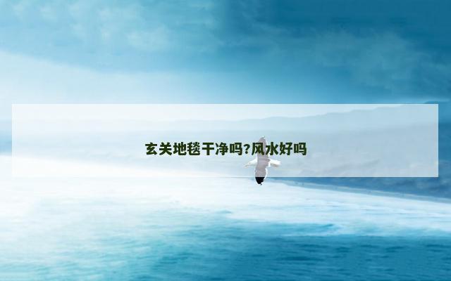 玄关地毯干净吗?风水好吗