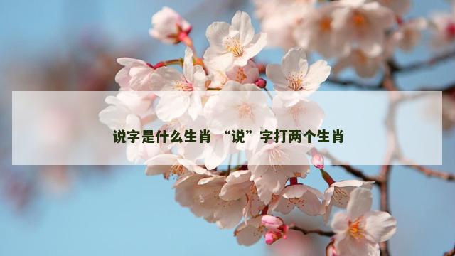 说字是什么生肖 “说”字打两个生肖