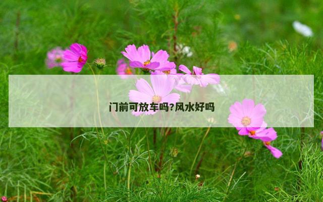 门前可放车吗?风水好吗