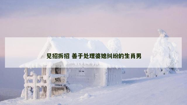 见招拆招 善于处理婆媳纠纷的生肖男