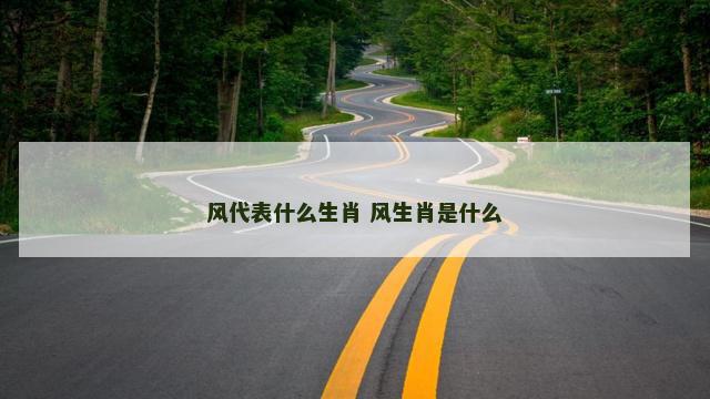 风代表什么生肖 风生肖是什么