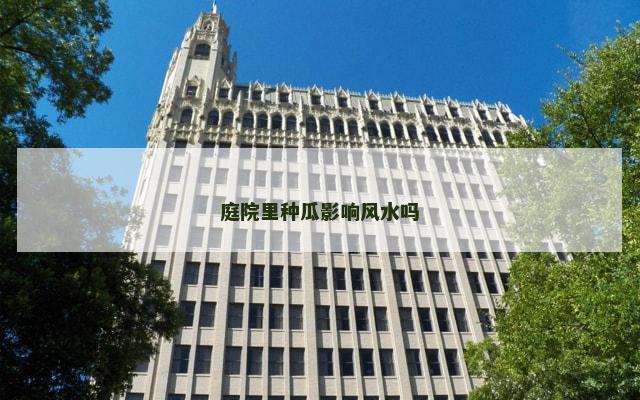 庭院里种瓜影响风水吗