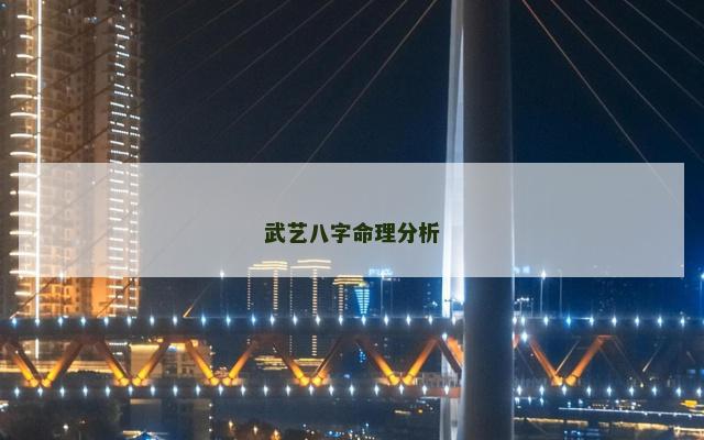 武艺八字命理分析
