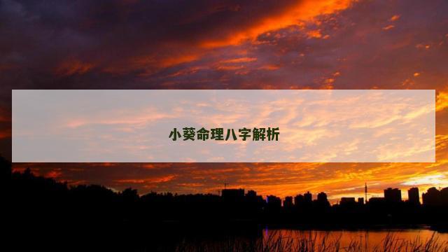 小葵命理八字解析