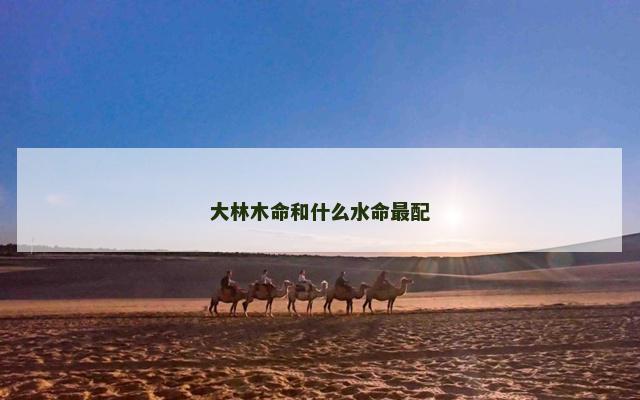 大林木命和什么水命最配