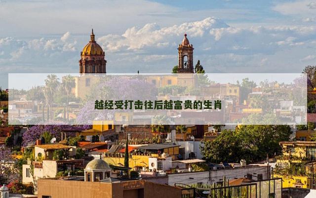 越经受打击往后越富贵的生肖