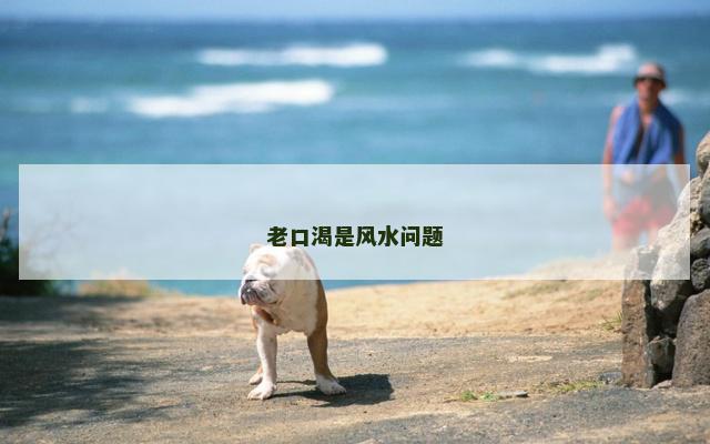 老口渴是风水问题