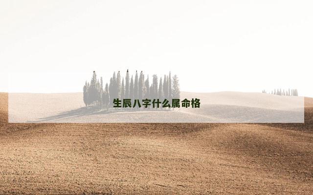 生辰八字什么属命格