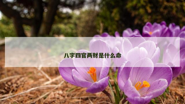 八字四官两财是什么命