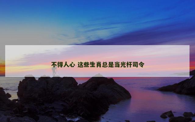 不得人心 这些生肖总是当光杆司令