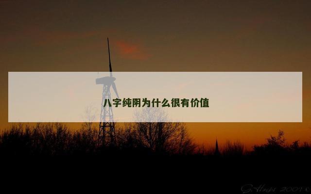 八字纯阴为什么很有价值