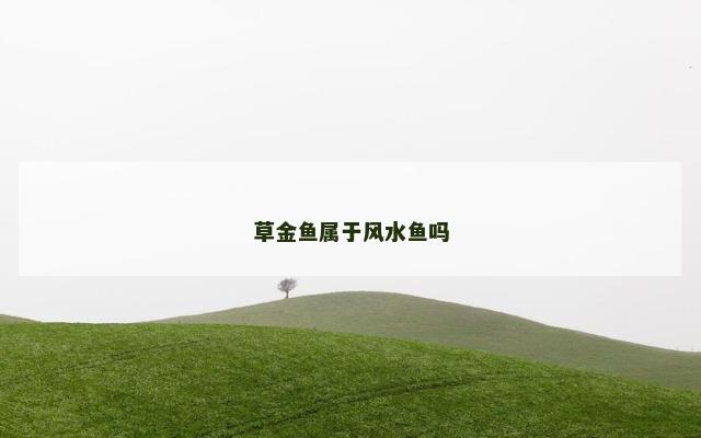 草金鱼属于风水鱼吗