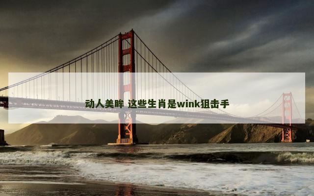 动人美眸 这些生肖是wink狙击手