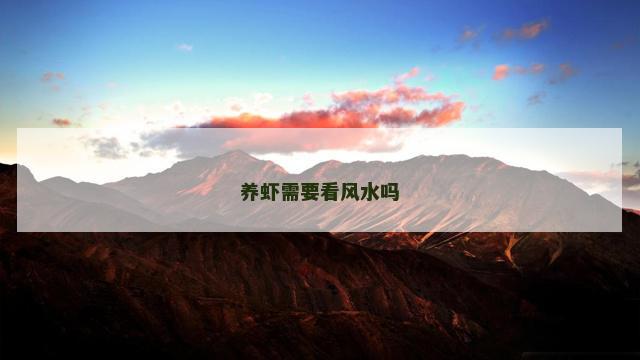 养虾需要看风水吗
