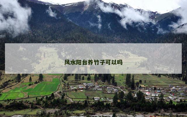 风水阳台养竹子可以吗