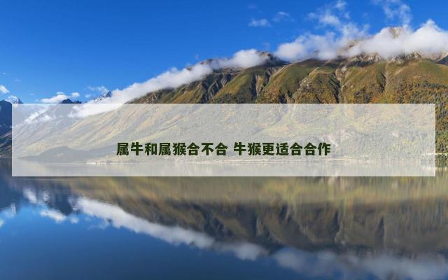 属牛和属猴合不合 牛猴更适合合作