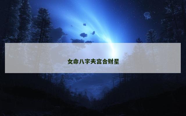 女命八字夫宫合财星