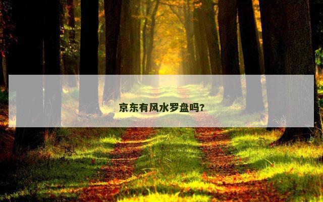 京东有风水罗盘吗?
