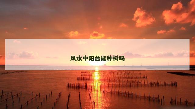 风水中阳台能种树吗
