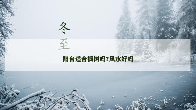 阳台适合枫树吗?风水好吗