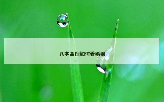 八字命理如何看婚姻