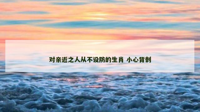 对亲近之人从不设防的生肖 小心背刺