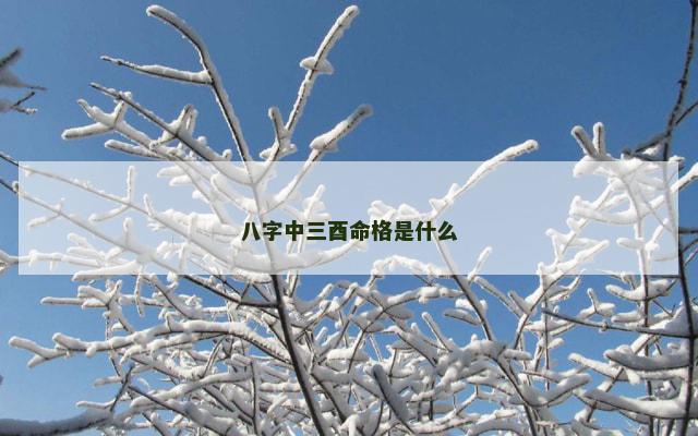 八字中三酉命格是什么