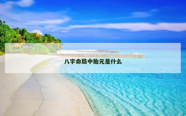 八字命局中胎元是什么