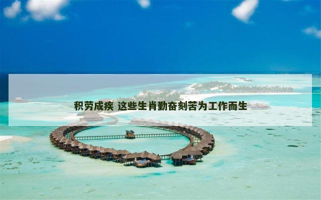 积劳成疾 这些生肖勤奋刻苦为工作而生